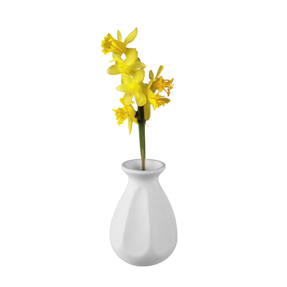 Vases &agrave; peindre
